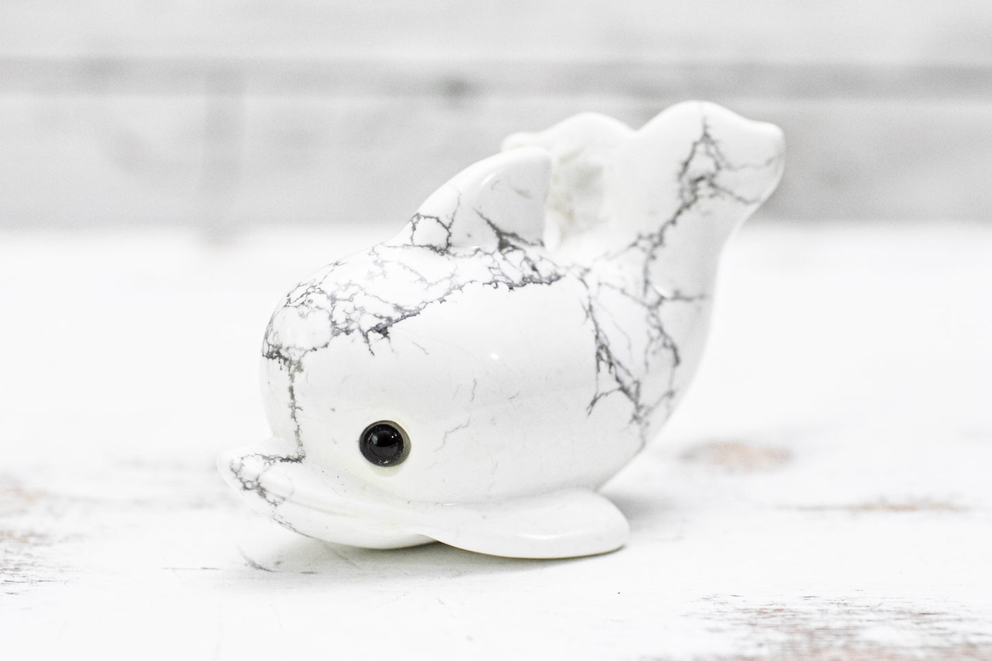 Cute Little Dolphin Carving | Howlite Crystal
