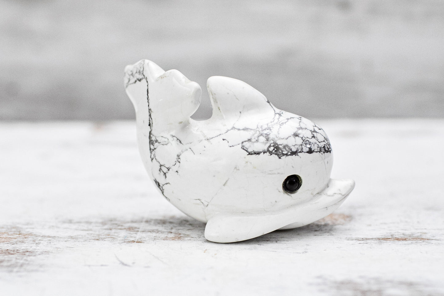 Cute Little Dolphin Carving | Howlite Crystal