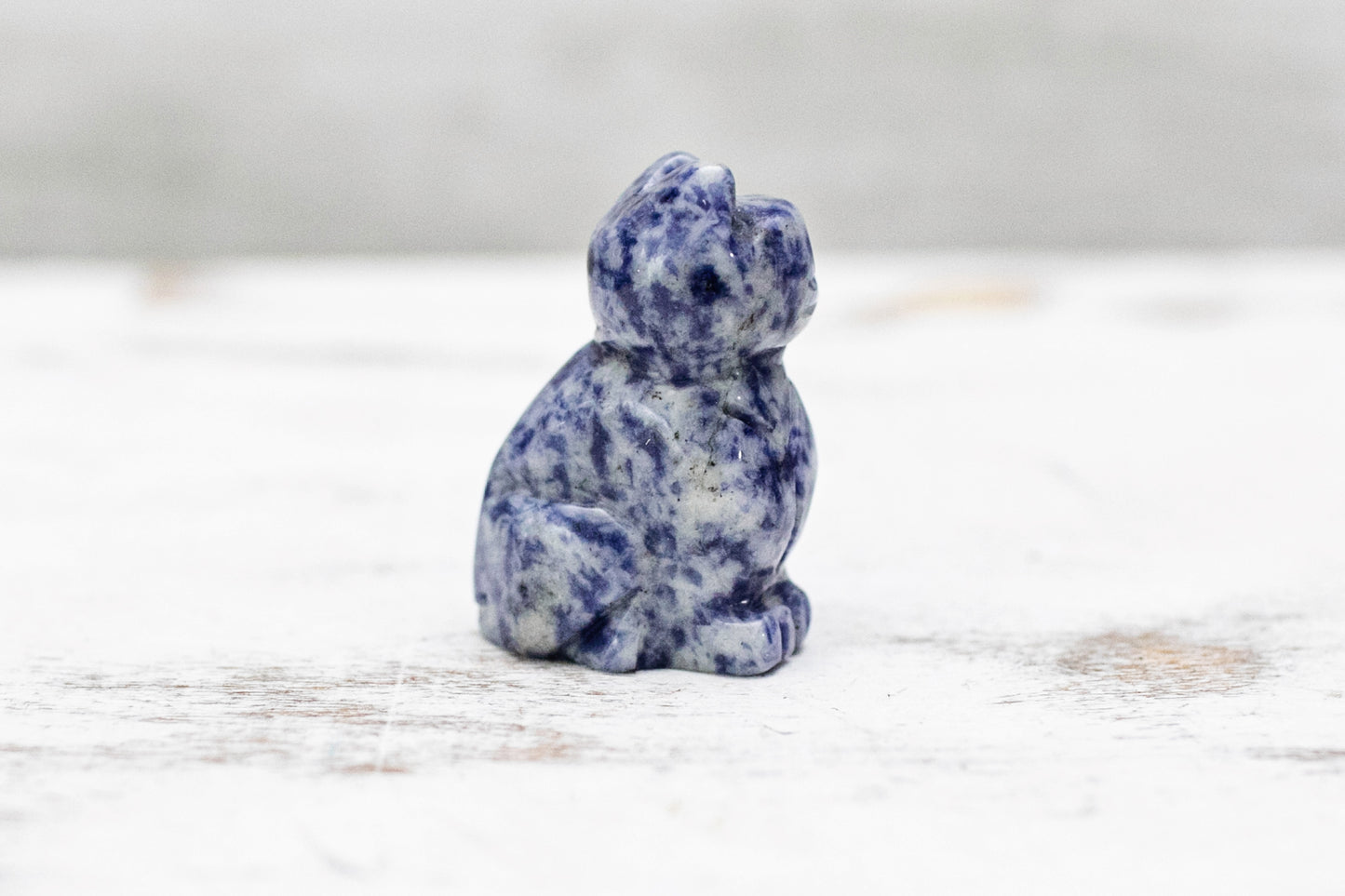Sodalite Mini Cat Crystal Carving